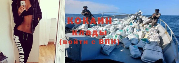 соль ск Арсеньев