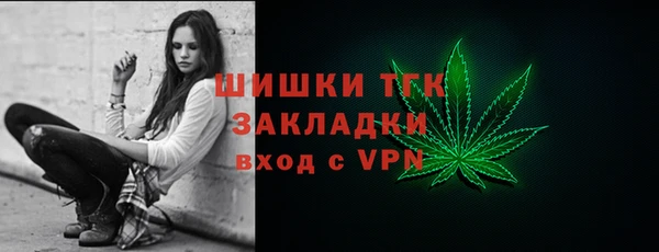 соль ск Арсеньев
